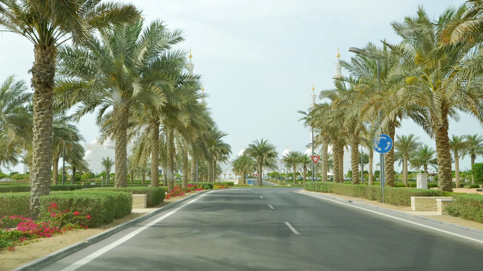 التدريب والمهارة