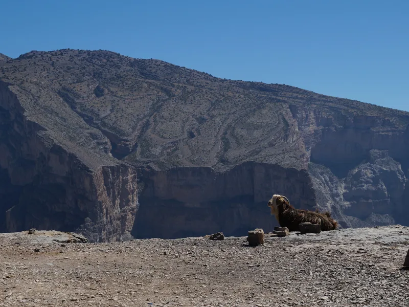 جبل شمس — عُمان